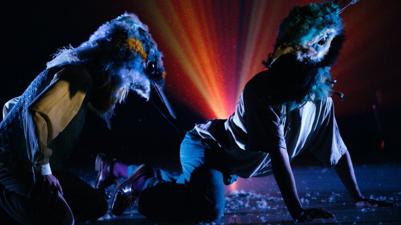 BIRDSLAND, &copy; Nicolas Clausen