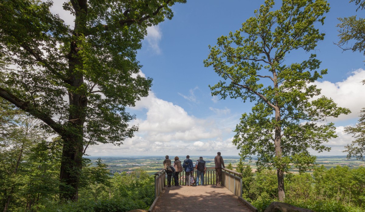 Menschen stehen auf einer Aussichtsplattform im Wald und blicken auf eine weite Landschaft unter einem blauen Himmel mit Wolken., © NPSFW Menschen stehen auf einer Aussichtsplattform im Wald und blicken auf eine weite Landschaft unter einem blauen Himmel mit Wolken., © NPSFW