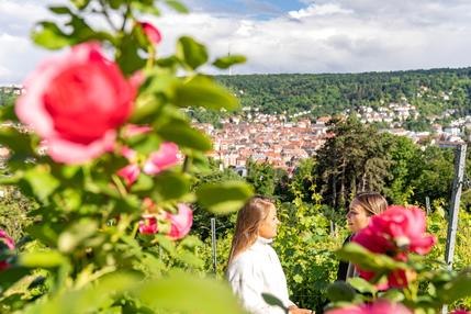 Karlshöhe Stuttgart, © Stuttgart-Marketing GmbH, Martina Denker