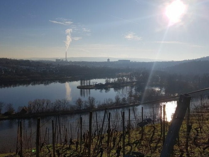 Flusslandschaft mit Weinbergen im Vordergrund, Stadt und Schornstein im Hintergrund, sonniger Himmel., © Cool-Tours StattReisen Flusslandschaft mit Weinbergen im Vordergrund, Stadt und Schornstein im Hintergrund, sonniger Himmel., © Cool-Tours StattReisen