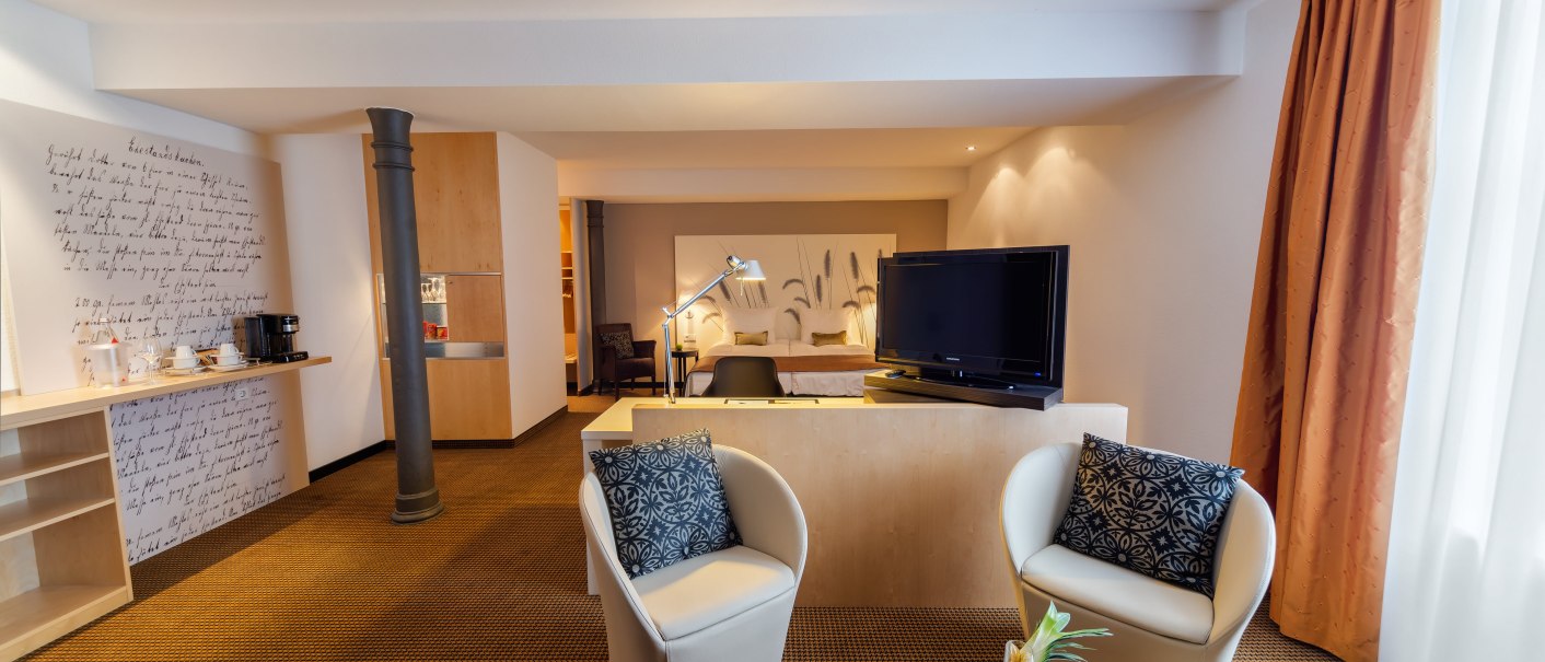 Modern hotel room with seating area, TV, desk and fruit bowl. Light-colored curtains and decorative wall design., &copy; TOMAS