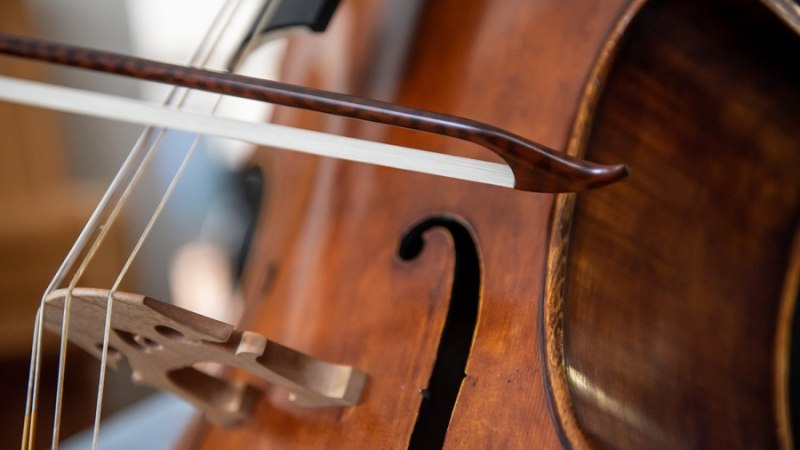 Der Botnanger Mittwochnachmittag ist eine j&auml;hrliche Veranstaltung., &copy; Jens Volle