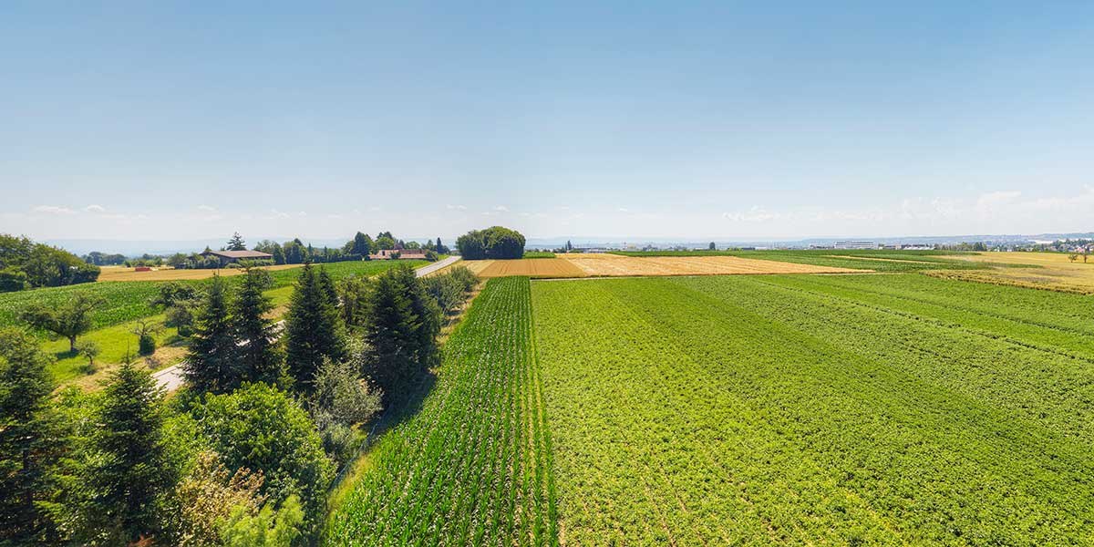 Wide landscape with green fields, trees and a clear blue sky. Buildings and hills can be seen in the background., © Kemnater Hof GmbH