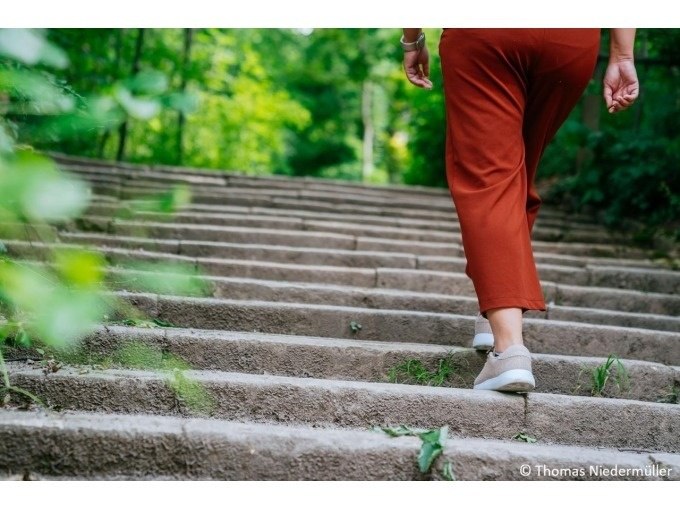 Eine Person in roten Hosen geht eine steinerne Treppe im Grünen hinauf. Die Umgebung ist von Bäumen und Pflanzen umgeben., © Stuttgart Marketing GmbH Eine Person in roten Hosen geht eine steinerne Treppe im Grünen hinauf. Die Umgebung ist von Bäumen und Pflanzen umgeben., © Stuttgart Marketing GmbH