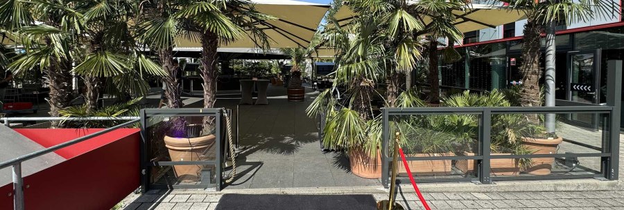 Eingang zu einem Außenbereich mit Palmen, Sonnenschirmen und einem roten Teppich mit 'Palm Beach' Logo. Der Himmel ist blau., © Palm Beach Stuttgart GmbH Eingang zu einem Außenbereich mit Palmen, Sonnenschirmen und einem roten Teppich mit 'Palm Beach' Logo. Der Himmel ist blau., © Palm Beach Stuttgart GmbH