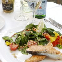 Spring menu at the Marktst&uuml;ble in the Stuttgart market hall, &copy; Loo&szlig; Kulinarisches OHG