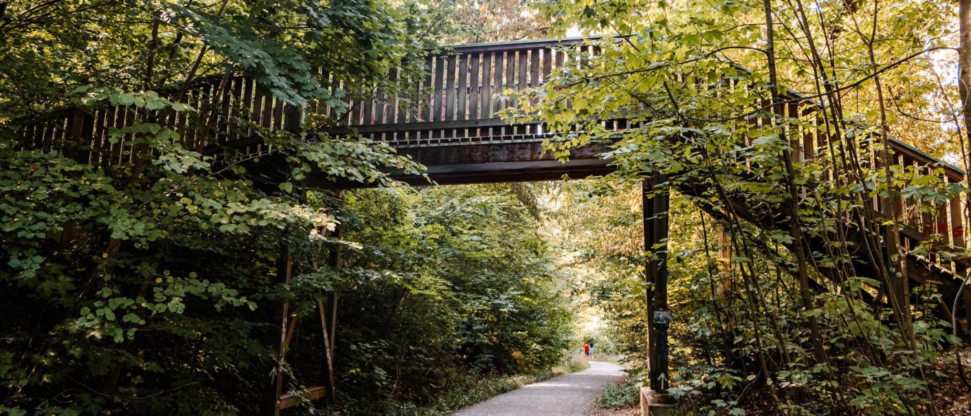 Ein Waldweg führt unter einer Holzbrücke hindurch, umgeben von dichtem grünen Laub. Eine Person in Rot ist in der Ferne sichtbar., © Stuttgart Marketing GmbH, Sarah Schmid