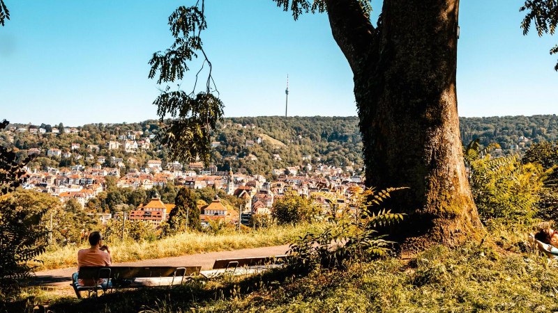 View of Stuttgart from Karlshöhe, with a large tree in the foreground and the television tower in the distance. People relaxing on the meadow., © SMG Stuttgart Marketing GmbH - Sarah Schmid View of Stuttgart from Karlshöhe, with a large tree in the foreground and the television tower in the distance. People relaxing on the meadow., © SMG Stuttgart Marketing GmbH - Sarah Schmid