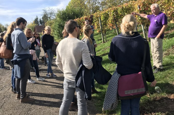 Eine Gruppe von Menschen steht in einem Weinberg und hört einem Führer zu. Die Reben sind herbstlich gefärbt., © Weingenuss Stuttgart