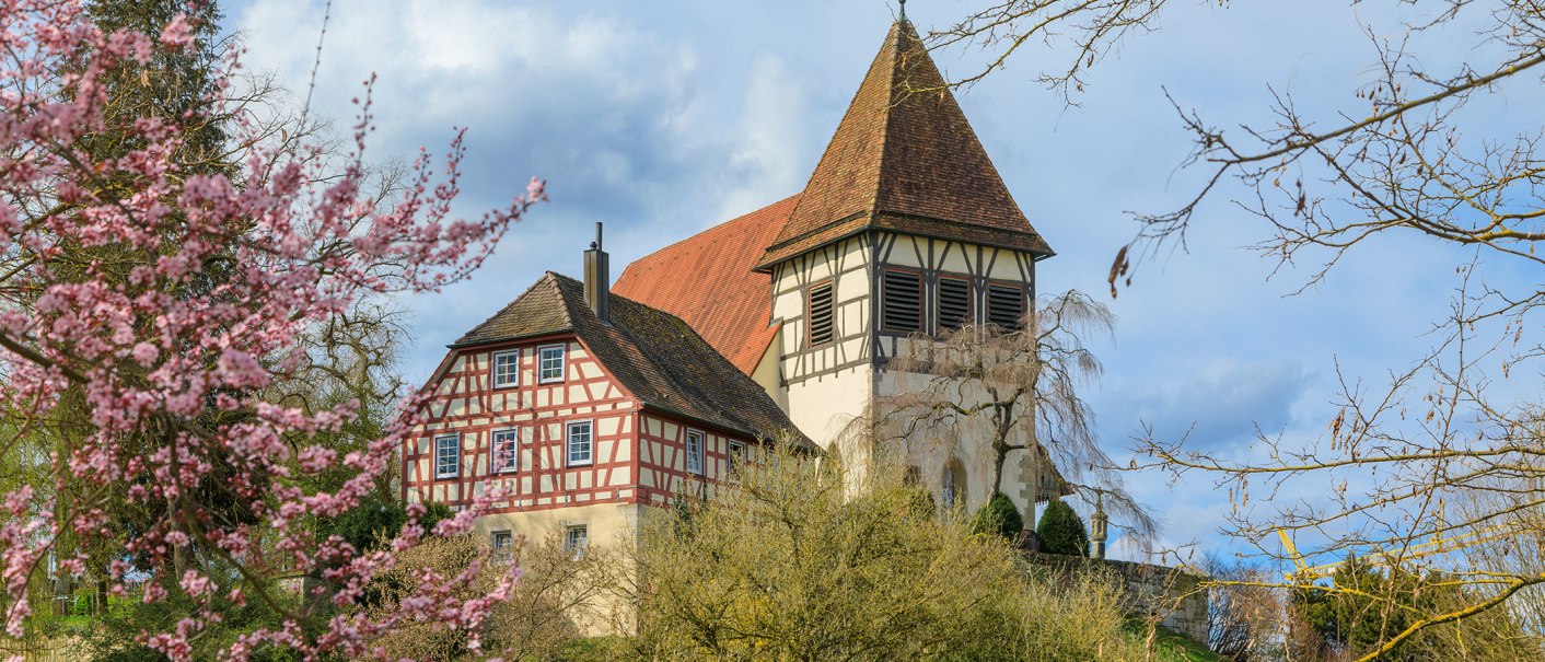 Half-timbered house and church tower in Murrhardt, surrounded by blossoming trees and blue sky., © @ Stefan Bossow Half-timbered house and church tower in Murrhardt, surrounded by blossoming trees and blue sky., © @ Stefan Bossow