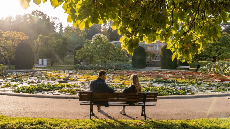 Wilhelma Seerosenteich, &copy; Stuttgart-Marketing GmbH, Martina Denker