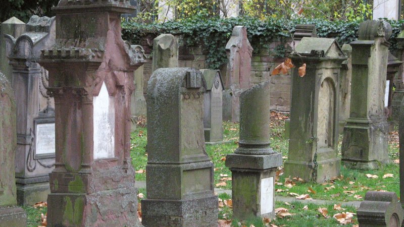 Old, weathered gravestones in the Hoppenlau cemetery, surrounded by autumn leaves and ivy on a wall., © SMG Old, weathered gravestones in the Hoppenlau cemetery, surrounded by autumn leaves and ivy on a wall., © SMG