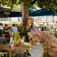 A lively outdoor café with people sitting at tables under parasols. Plants and decorations create a cozy atmosphere., © SMG Stuttgart Marketing GmbH - Sarah Schmid A lively outdoor café with people sitting at tables under parasols. Plants and decorations create a cozy atmosphere., © SMG Stuttgart Marketing GmbH - Sarah Schmid