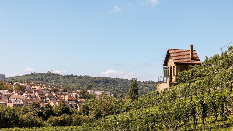 Weinwanderweg Stuttgart Bad Cannstatt, &copy; Stuttgart-Marketing GmbH, Sarah Schmid