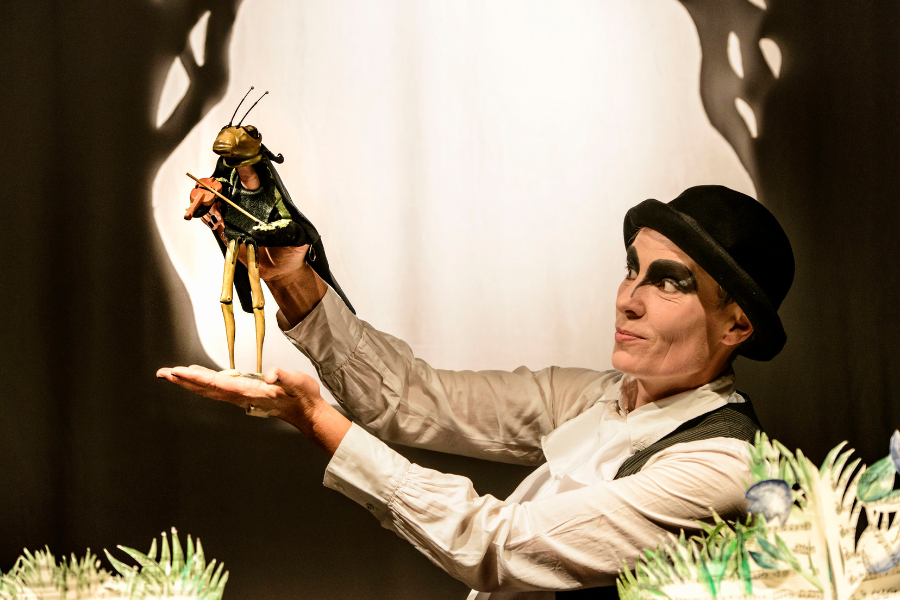 W&auml;hrend andere sammeln, musiziert die Grille., &copy; Lutz Edelhoff