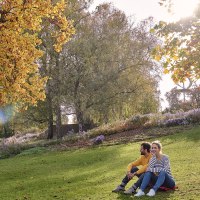 A couple is sitting on a meadow in Rosenstein Park, surrounded by autumnal trees and flowers. The sun is shining through the leaves., © SMG, Christoph Düpper