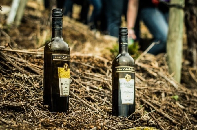 Zwei Weinflaschen der Marke Bad Cannstatt stehen auf einem Waldboden mit &Auml;sten. Im Hintergrund sind unscharf Menschen zu erkennen., &copy; Cool-Tours StattReisen