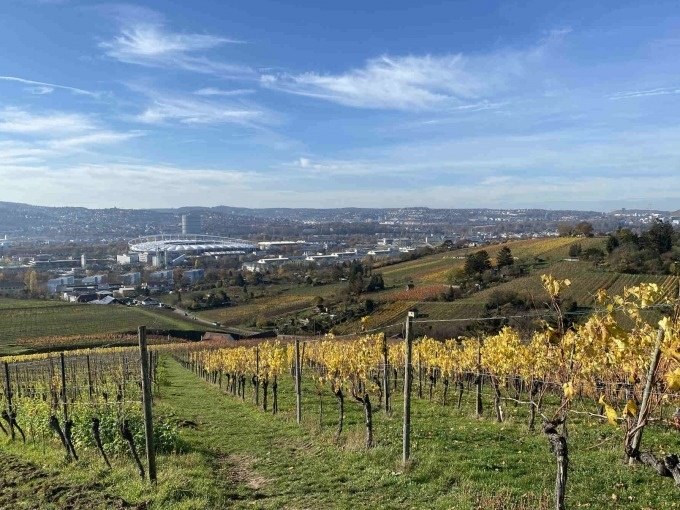 Weinberge in Stuttgart mit gelben Bl&auml;ttern, im Hintergrund die Stadt und ein Stadion unter blauem Himmel., &copy; Weingenuss Stuttgart