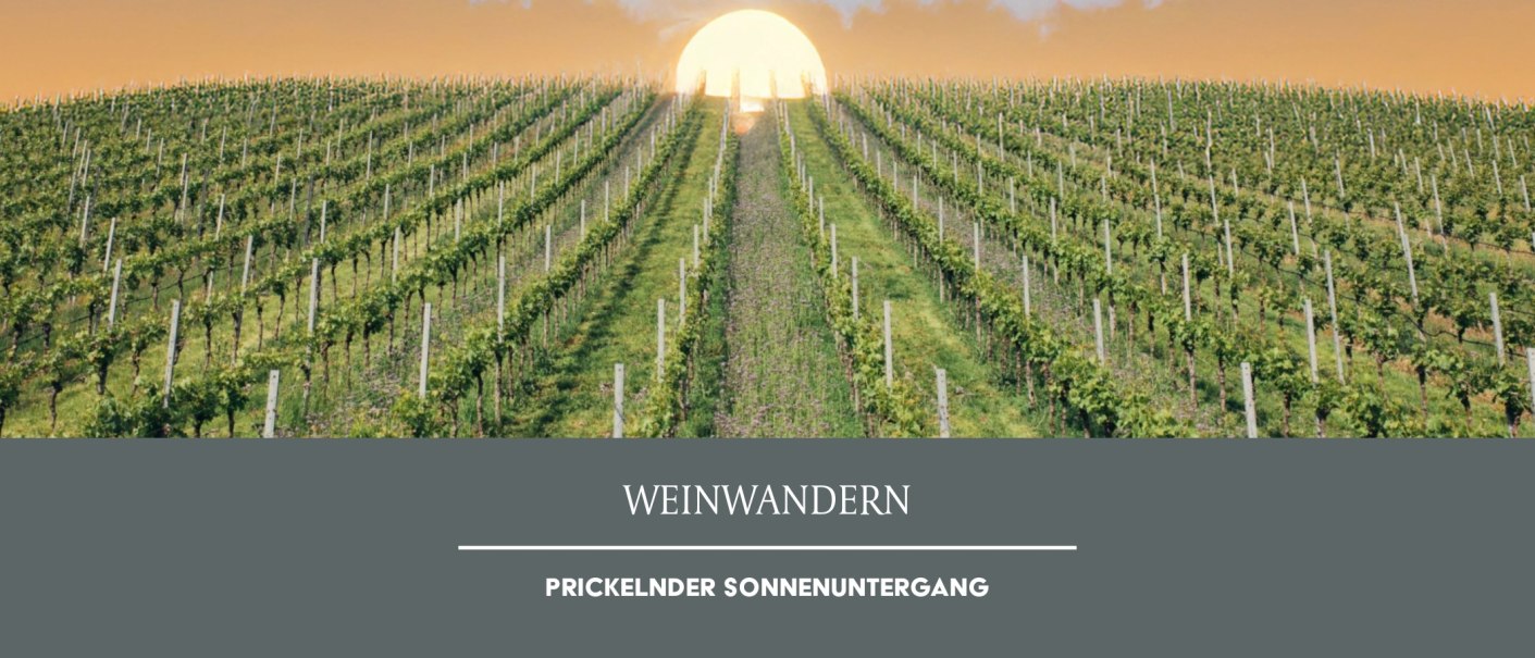 Ein Weinberg erstreckt sich unter einem orangefarbenen Himmel bei Sonnenuntergang. Der Titel 'Weinwandern' ist darunter zu sehen., © Weinmanufaktur Stuttgart eG Ein Weinberg erstreckt sich unter einem orangefarbenen Himmel bei Sonnenuntergang. Der Titel 'Weinwandern' ist darunter zu sehen., © Weinmanufaktur Stuttgart eG