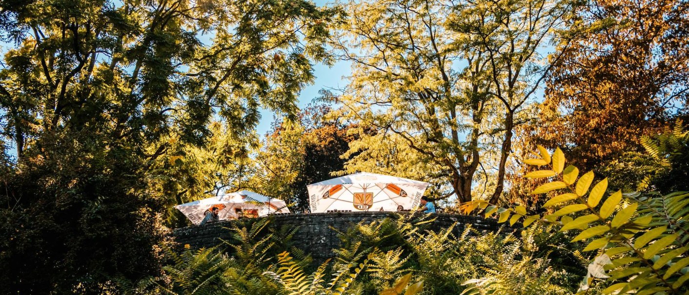 Sonnenschirme auf einer Terrasse, umgeben von üppigem Grün und hohen Bäumen, die im Sonnenlicht leuchten., © Stuttgart Marketing GmbH, Sarah Schmid
