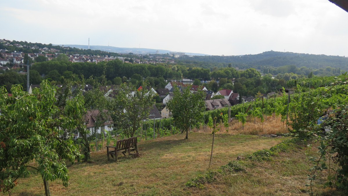 Vineyards with a wooden bench in the foreground, a town and hills behind. The sky is cloudy, the landscape appears calm and idyllic., &copy; Stuttgart-Marketing GmbH