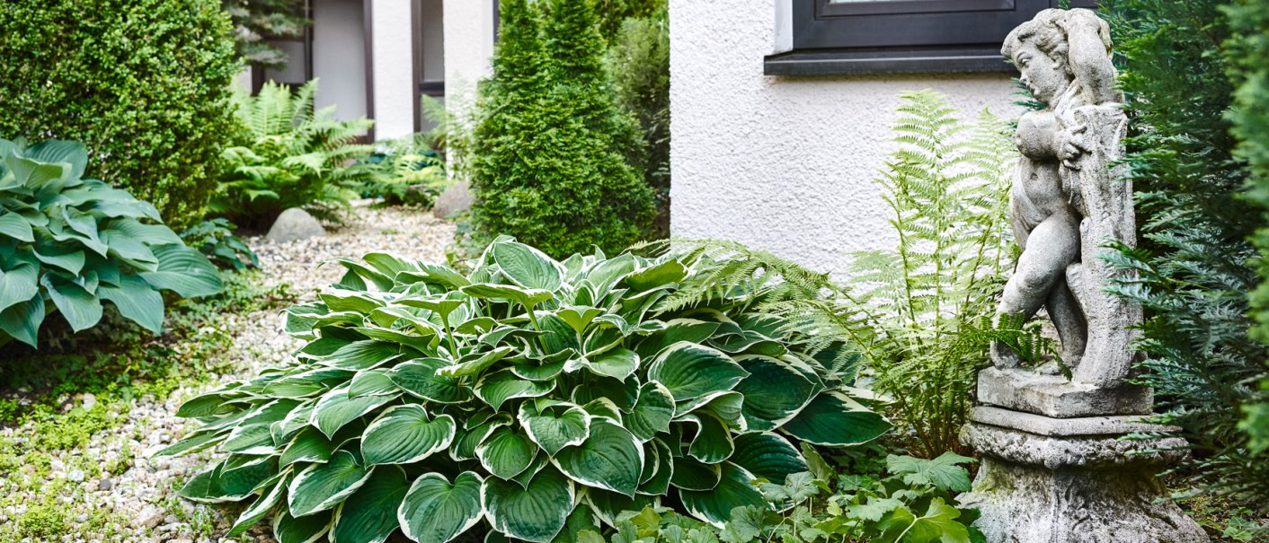Garten mit üppigen Pflanzen, Farnen und einer Engelsstatue neben einem Gebäude mit weißen Wänden und Fenstern., © Hirsch Hotel