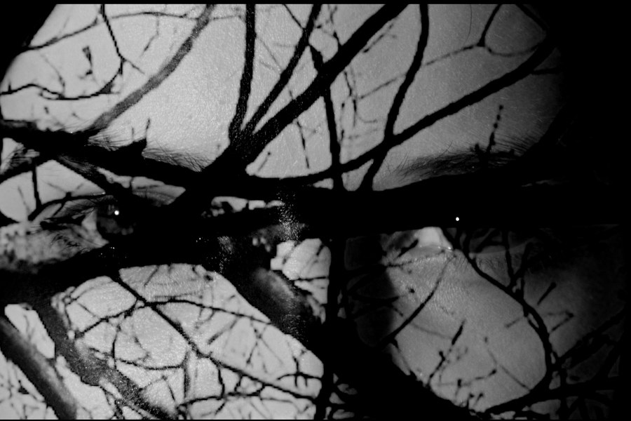 Filmstill Obscura, © Filmstill Obscura: Luna Wagner Rodriguez Filmstill Obscura, © Filmstill Obscura: Luna Wagner Rodriguez