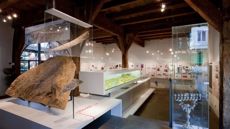 The Bad Cannstatt City Museum displays historical artifacts and information boards in a modern exhibition space with wooden ceilings and glass cabinets., &copy; die arge lola, Kai Loges + Andreas Langen