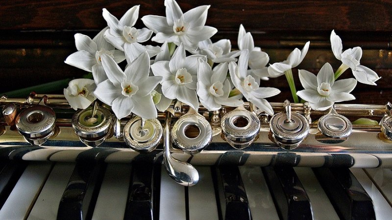 Anrichtung von Klavier, Querflöte und Blumen, © Pixabay Anrichtung von Klavier, Querflöte und Blumen, © Pixabay