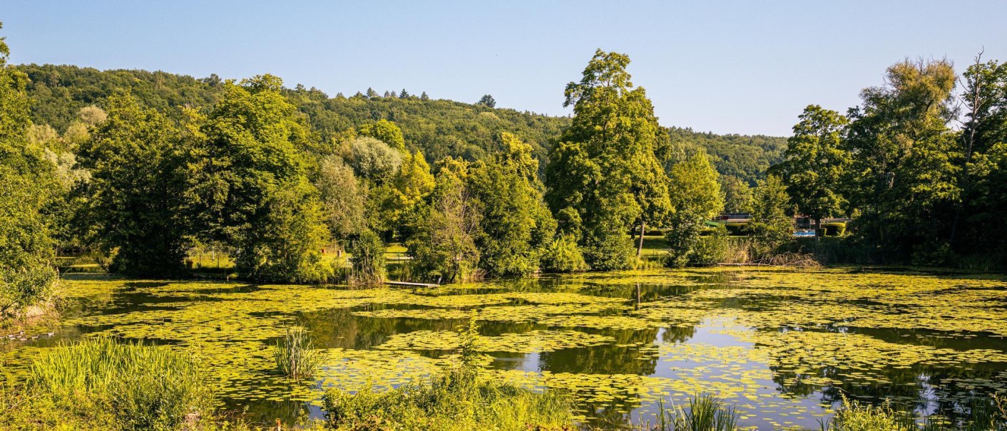 An idyllic lake with water lilies, surrounded by lush trees and a clear blue sky. Nature is peaceful and inviting., © Stuttgart-Marketing GmbH, Sarah Schmid An idyllic lake with water lilies, surrounded by lush trees and a clear blue sky. Nature is peaceful and inviting., © Stuttgart-Marketing GmbH, Sarah Schmid