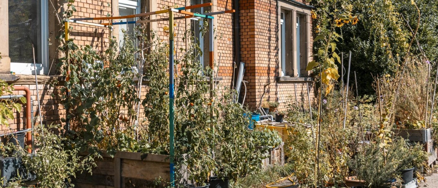 Ein Gemüsegarten mit Tomatenpflanzen und Sonnenblumen vor einem Backsteingebäude. Verschiedene Pflanzen wachsen in Hochbeeten und Töpfen., © Stuttgart-Marketing GmbH, Sarah Schmid Ein Gemüsegarten mit Tomatenpflanzen und Sonnenblumen vor einem Backsteingebäude. Verschiedene Pflanzen wachsen in Hochbeeten und Töpfen., © Stuttgart-Marketing GmbH, Sarah Schmid