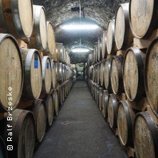 Ein langer Gang in einem Keller mit Holzfässern an beiden Seiten, beleuchtet von Deckenlampen., © links im Bild