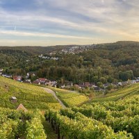 Weinberge erstrecken sich über sanfte Hügel, ein Dorf liegt eingebettet in die grüne Landschaft. Der Himmel ist leicht bewölkt, die Sonne geht unter., © Weingärtnergenossenschaft Hedelfingen Weinberge erstrecken sich über sanfte Hügel, ein Dorf liegt eingebettet in die grüne Landschaft. Der Himmel ist leicht bewölkt, die Sonne geht unter., © Weingärtnergenossenschaft Hedelfingen
