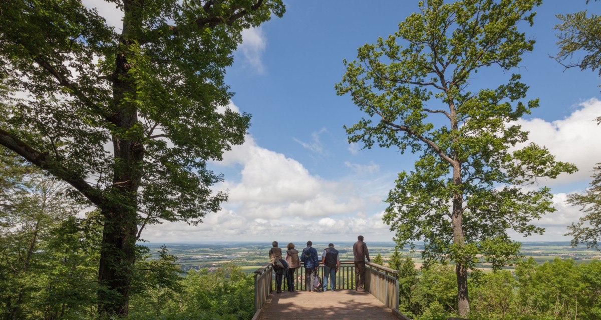 Menschen stehen auf einer Aussichtsplattform im Wald und blicken auf eine weite Landschaft unter einem blauen Himmel mit Wolken., © NPSFW Menschen stehen auf einer Aussichtsplattform im Wald und blicken auf eine weite Landschaft unter einem blauen Himmel mit Wolken., © NPSFW