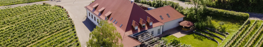 Aerial view of a building with a red roof, surrounded by vineyards and green countryside. A garden with pergola and parasol is visible., &copy; Collegium Wirtemberg