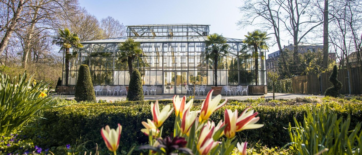 Greenhouse at the Blühendes Barock in Ludwigsburg, surrounded by palm trees and blooming flowers. A sunny day with a clear view of the glass structure., © SMG Stuttgart Marketing GmbH - Sarah Schmid Greenhouse at the Blühendes Barock in Ludwigsburg, surrounded by palm trees and blooming flowers. A sunny day with a clear view of the glass structure., © SMG Stuttgart Marketing GmbH - Sarah Schmid