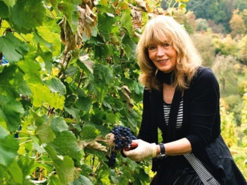 Eine Frau mit blonden Haaren erntet Trauben in einem grünen Weinberg. Sie trägt Handschuhe und lächelt in die Kamera., © Elsbeth Koch
