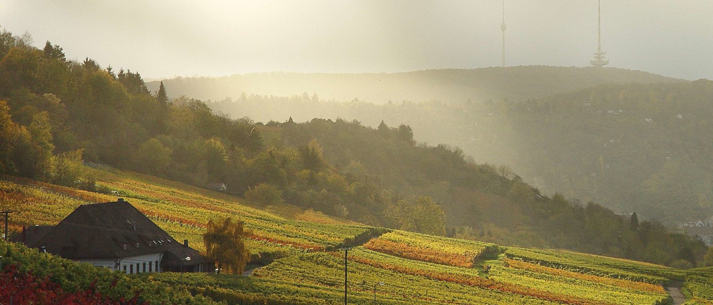Rotenberg evening mood, © SMG