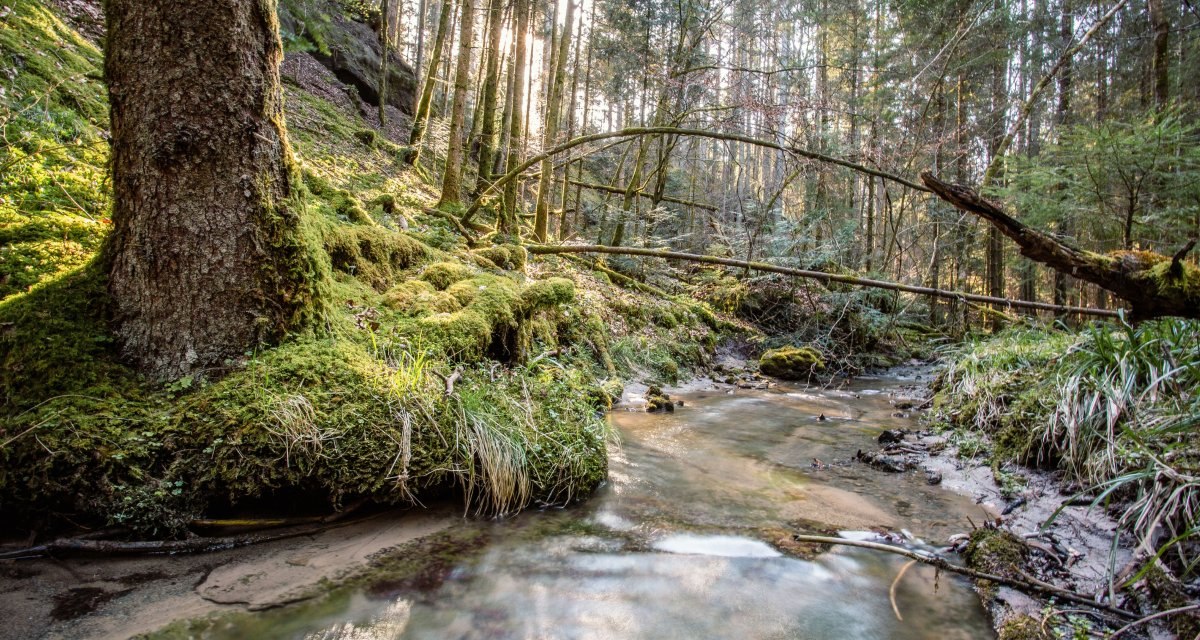 Sulzbach-Laufen_Wasserwelt Sulzbach-Laufen_Wasserwelt