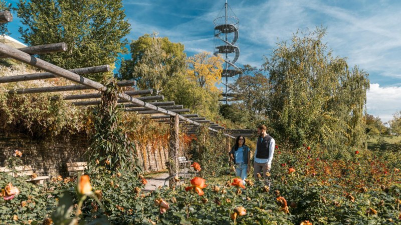 Tal der Rosen Typisch Nord Tal der Rosen Typisch Nord