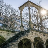 The ruins of the Neues Lusthaus with stone arches and columns, surrounded by bare trees. Rays of sunlight shine through the branches., © Stuttgart-Marketing GmbH, Sarah Schmid The ruins of the Neues Lusthaus with stone arches and columns, surrounded by bare trees. Rays of sunlight shine through the branches., © Stuttgart-Marketing GmbH, Sarah Schmid