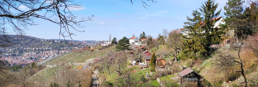 Hügelige Landschaft mit Weinbergen und kleinen Hütten, im Hintergrund eine Stadt. Bäume ohne Blätter rahmen das Bild ein, blauer Himmel., © SMG Hügelige Landschaft mit Weinbergen und kleinen Hütten, im Hintergrund eine Stadt. Bäume ohne Blätter rahmen das Bild ein, blauer Himmel., © SMG