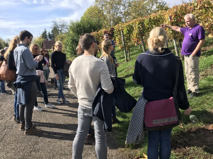 Eine Gruppe von Menschen steht in einem Weinberg und hört einem Führer zu. Die Reben sind herbstlich gefärbt., © Weingenuss Stuttgart Eine Gruppe von Menschen steht in einem Weinberg und hört einem Führer zu. Die Reben sind herbstlich gefärbt., © Weingenuss Stuttgart