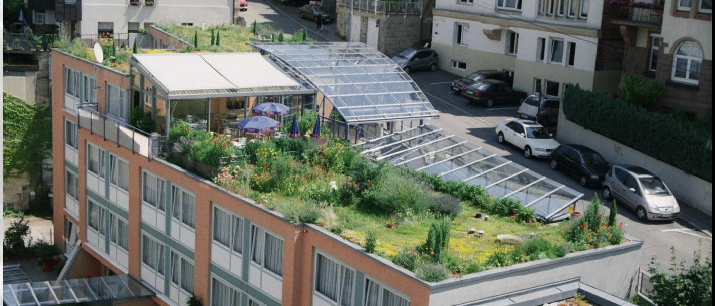 Eine Dachterrasse mit üppiger Begrünung und Glasüberdachung in einer städtischen Umgebung. Mehrere Autos parken auf der Straße., © Abalon Hotel Ideal Eine Dachterrasse mit üppiger Begrünung und Glasüberdachung in einer städtischen Umgebung. Mehrere Autos parken auf der Straße., © Abalon Hotel Ideal