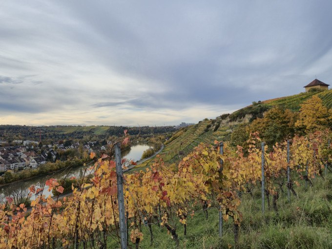 Herbstliche Weinberge mit buntem Laub erstrecken sich entlang eines H&uuml;gels. Ein Fluss schl&auml;ngelt sich durch die Landschaft, w&auml;hrend der Himmel bew&ouml;lkt ist., &copy; Cool-Tours StattReisen