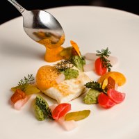 Heilbutt mit Avocado, Radieschen und Schaum kunstvoll auf weißem Teller angerichtet, mit Löffel serviert., © Hupperts Heilbutt mit Avocado, Radieschen und Schaum kunstvoll auf weißem Teller angerichtet, mit Löffel serviert., © Hupperts