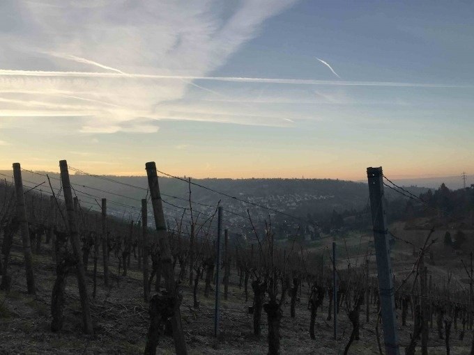 Weinberge in Stuttgart bei Sonnenuntergang, mit kahlen Reben und einem weiten Blick über die Stadt im Hintergrund., © Weingenuss Stuttgart Weinberge in Stuttgart bei Sonnenuntergang, mit kahlen Reben und einem weiten Blick über die Stadt im Hintergrund., © Weingenuss Stuttgart