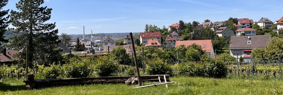 Grüne Wiese mit Bäumen, im Hintergrund ein Dorf mit roten Dächern und blauer Himmel., © Weinhof Zaiß