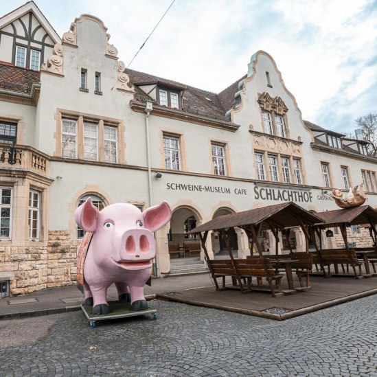 Schweinemuseum Eingang, © SMG, Sarah Schmid