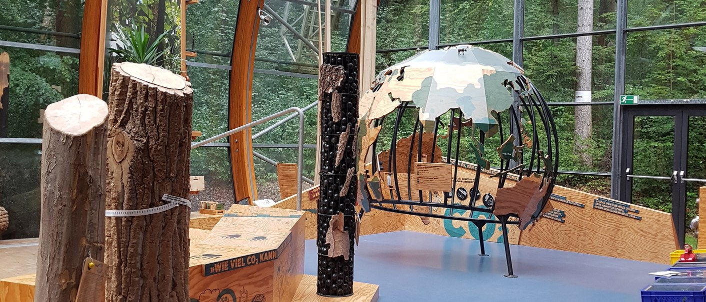 Exhibition with wooden trunks and a decorative globe made of wood and metal, surrounded by large windows with a view of the forest., © Haus des Waldes Exhibition with wooden trunks and a decorative globe made of wood and metal, surrounded by large windows with a view of the forest., © Haus des Waldes